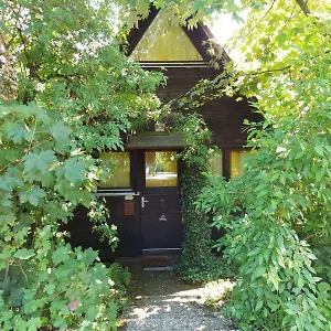 Bergwiese Siegsdorf